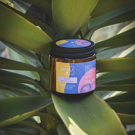 BLOQUEADOR SOLAR FAMILIAR